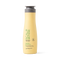 ScalpSense Oil Out Shampoo